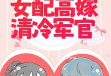 军婚撩人:倒霉女配高嫁清冷军官小说无弹窗阅读的网站推荐-艾米文学