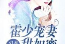 在线免费阅读引妻入怀:霍少宠妻甜如蜜完整小说-艾米文学