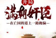 完结版《开局满朝奸臣：在亡国的道上一路跑偏》章节阅读-艾米文学