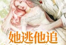 完结版《她逃他追，她插翅难飞》章节阅读-艾米文学