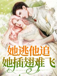 完结版《她逃他追，她插翅难飞》章节阅读