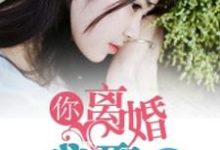 你离婚,我娶你小说,你离婚,我娶你慕青徐晟川-艾米文学