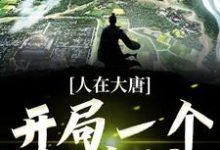 已完结小说《人在大唐：开局一个任意门》章节免费阅读-艾米文学
