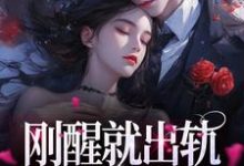 在线寻找刚醒就出轨？总裁你好样的小说的无删减版本-艾米文学