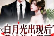 已完结小说《白月光出现后,我被前夫甩了》章节在线阅读-艾米文学