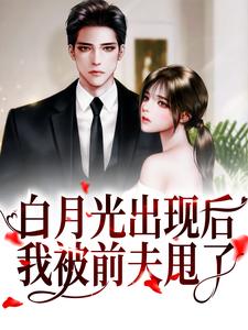 已完结小说《白月光出现后，我被前夫甩了》章节在线阅读