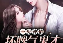 沈淮序姜梵小说完结版在线阅读,一见钟情:坏脾气鬼才导演的克星免费看-艾米文学