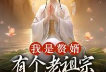 江平安骆冰云小说完结版在线阅读，我是赘婿，有个老祖宗娘子很合理吧免费看-艾米文学