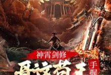 神霄剑修：哥这苟王手握七剑成最强这本小说完结了吗？免费查看最新章节-艾米文学