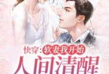 快穿：软妻我开始人间清醒，真香了小说的免费阅读版本在哪里可以找到？-艾米文学