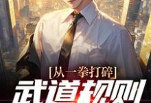 从一拳打碎武道规则开始无敌陈言小说在线章节免费阅读-艾米文学