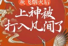 哪里可以免费找到灰飞烟灭后，上神被打入凡间了？-艾米文学