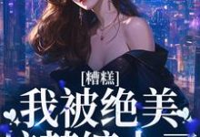 糟糕!我被绝美校花缠上了小说,糟糕!我被绝美校花缠上了温暖容琛-艾米文学