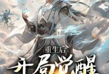 韩硕小说叫什么（重生后，开局觉醒氪命系统免费阅读）-艾米文学