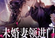 《未婚妻领进门,第二天进医院》小说章节在线试读,《未婚妻领进门,第二天进医院》最新章节目录-艾米文学