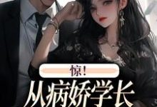 免费看惊！从病娇学长身边逃跑失败了小说的网站有哪些？-艾米文学