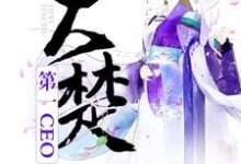 大楚第一CEO小说全文阅读需要付费吗?寻找免费资源-艾米文学