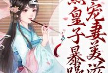 庶女崛起!腹黑皇子暴躁宠妻美滋滋裴时沅李意寻在线章节免费阅读-艾米文学