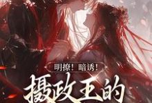 明撩!暗诱!摄政王的外室不好当宋婉沈君铎,明撩!暗诱!摄政王的外室不好当在线无弹窗阅读-艾米文学