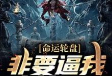 已完结小说《命运轮盘：非要逼我人前显圣》章节免费阅读-艾米文学