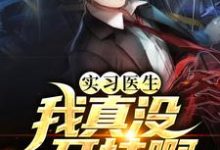 实习医生：我真没开挂啊小说全文哪里可以免费看？-艾米文学