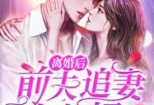 免费在线阅读离婚后,前夫追妻火葬场小说的正规网站有哪些?-艾米文学