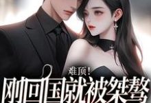 难顶！刚回国就被桀骜顶流截胡了免费阅读，难顶！刚回国就被桀骜顶流截胡了姜柠席越-艾米文学