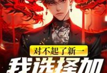 小说《对不起了新一,我选择加入黑组织》在线章节阅读-艾米文学