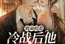 《致命招惹：冷战后他靠撒娇求和》小说李书妤许况章节章节免费在线阅读-艾米文学