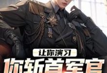 免费在线阅读让你演习，你斩首军官震惊全场？小说的正规网站有哪些？-艾米文学