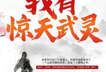 我有惊天武灵元枫慕云儿初天宇小说在线章节免费阅读-艾米文学