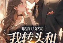 取消订婚宴，我转头和别人领证小说无弹窗阅读的网站推荐-艾米文学