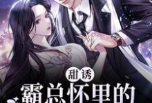 甜诱！霸总怀里的小妖精超撩人小说的无弹窗阅读体验，寻找免费阅读网站-艾米文学
