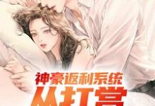 求推荐可以免费阅读神豪返利系统:从打赏女团开始小说的网站-艾米文学