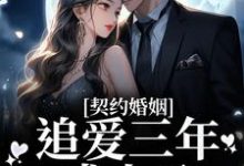 《契约婚姻:追爱三年成小丑》小说章节列表免费试读, 夏知晚陆怀舟小说在线阅读-艾米文学