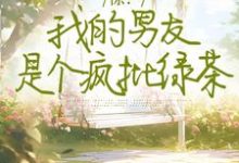 惊!我的男友是个疯批绿茶小说的免费电子版在哪里可以下载或阅读?-艾米文学