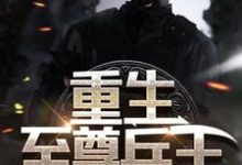 重生至尊兵王小说的无弹窗阅读体验，寻找免费阅读网站-艾米文学