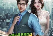 已完结小说《让你给小舅子买房,你把他女友娶了?》在线章节阅读-艾米文学