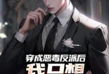 穿成恶毒反派后，我只想离婚保平安这本小说怎么样？免费在线阅读试试-艾米文学