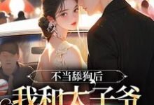 不当舔狗后,我和太子爷在一起了小说的免费阅读版本在哪里可以找到?-艾米文学