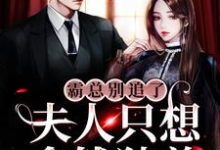 完结版《霸总别追了，夫人只想拿钱独美》章节目录在线阅读-艾米文学