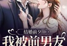 结婚前夕，我被前男友带走了薄寒深曲南枝，结婚前夕，我被前男友带走了小说免费阅读-艾米文学