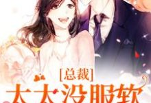 宋青烟季晏礼小说《总裁,太太没服软还闹离婚》在线阅读-艾米文学