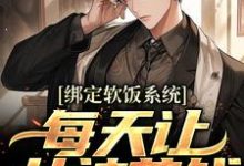 完结版《绑定软饭系统，每天让女神花钱》免费阅读-艾米文学