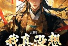 大明：我真没想当皇帝！小说免费资源，大明：我真没想当皇帝！在线阅读-艾米文学