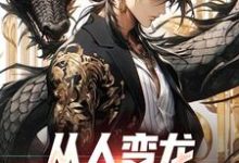 已完结小说《从人变龙,世界我主宰》章节在线阅读-艾米文学