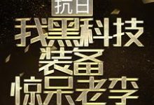 小说《抗日：我黑科技装备惊呆老李》章节阅读-艾米文学