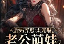 小说《后妈养崽：太宠啦，老公萌娃黏着她》在线章节阅读-艾米文学