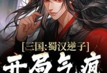 三国：蜀汉逆子，开局气疯诸葛亮最新章节，三国：蜀汉逆子，开局气疯诸葛亮免费阅读-艾米文学