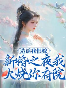 造谣我恨嫁？新婚之夜我火烧你府院木婉云沈阔小说完结版章节在线阅读